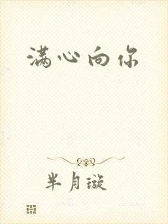 满心向你封面
