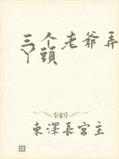 三个老爷弄一个丫头封面