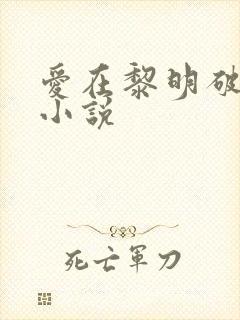爱在黎明破晓前小说
