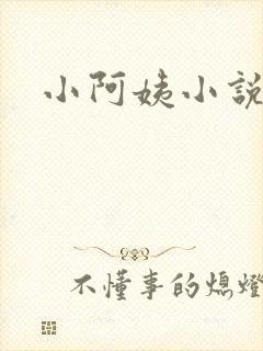 小阿姨小说