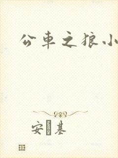 公车之狼小说封面