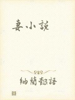 妻小说封面