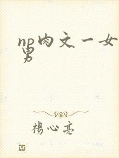np肉文一女多男