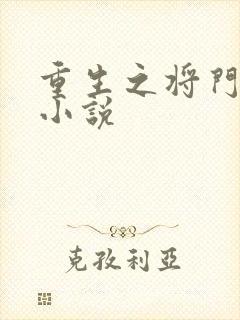 重生之将门毒后小说