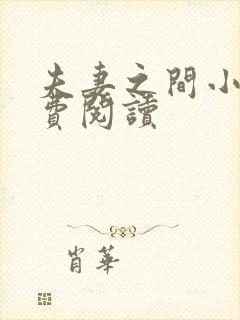 夫妻之间小说免费阅读