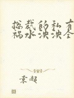 总裁的私有宝贝祸水泱泱全文阅读