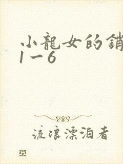 小龙女的销魂夜1一6封面