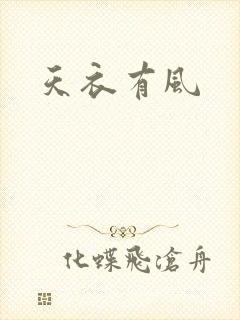 天衣有风封面