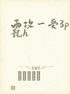 两攻一受3p双龙h