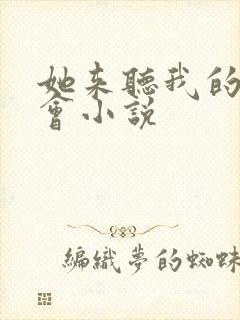 她来听我的演唱会小说