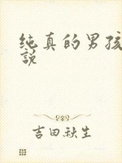 纯真的男孩子小说