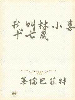 我叫林小喜今年十七岁封面