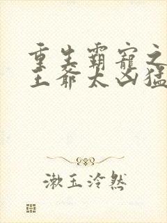 重生霸宠之摄政王爷太凶猛