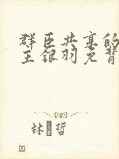 群臣共享的小公主银羽免背刺封面