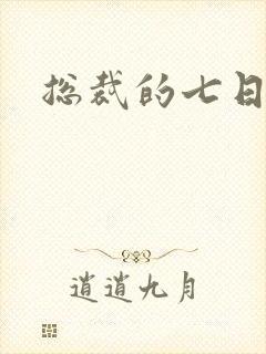 总裁的七日恋人封面