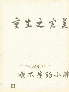 重生之完美一生封面