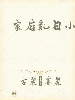 家庭乱日小说
