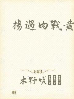 杨过肉战黄蓉封面