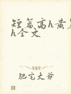短篇高h黄暴辣h全文