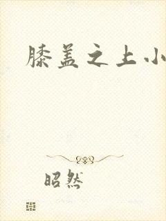 膝盖之上小说封面