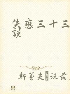 失恋三十三天小说