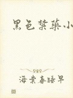 黑色禁药小说封面