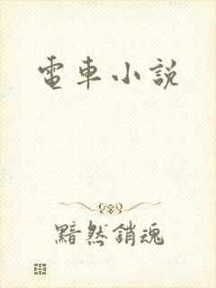 电车小说封面