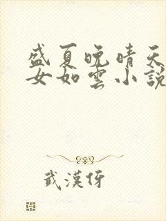 盛夏晚晴天之美女如云小说封面