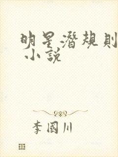 明星潜规则之皇 小说