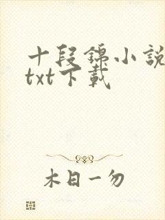 十段锦小说全本txt下载