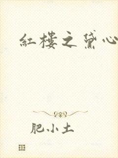 红楼之黛心如玉