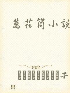 万花筒小说封面