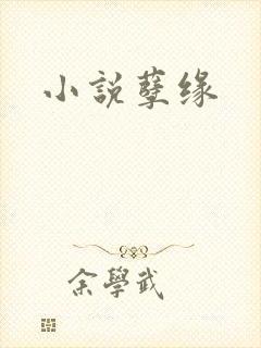 小说孽缘