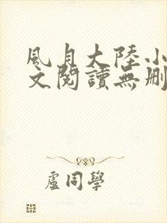 风月大陆小说全文阅读无删减