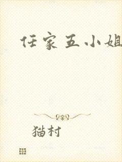 任家五小姐封面