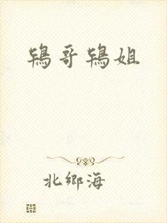 鸨哥鸨姐封面