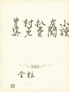 农村扒灰小说全集免费阅读封面