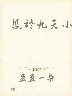 凤于九天小说
