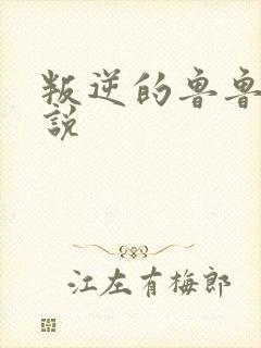 叛逆的鲁鲁修小说封面