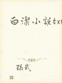 白洁小说txt