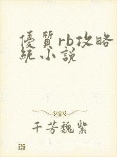 优质rb攻略系统小说