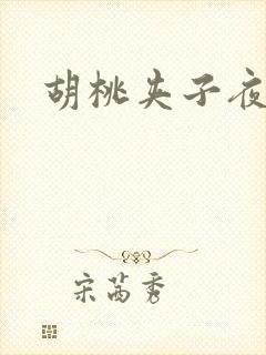 胡桃夹子夜未眠封面