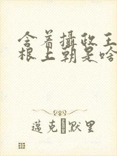 含着摄政王的紫根上朝是啥小说