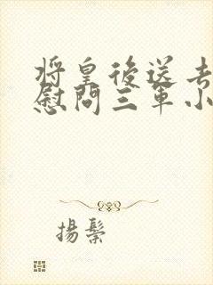 将皇后送去军营慰问三军小说封面