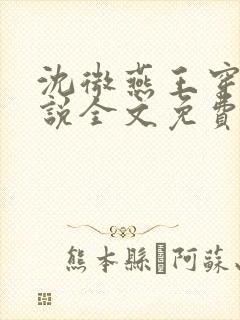 沈微燕王穿越小说全文免费阅读