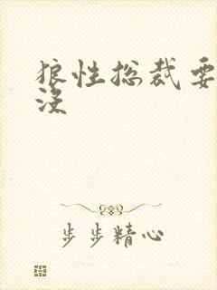 狼性总裁要够了没
