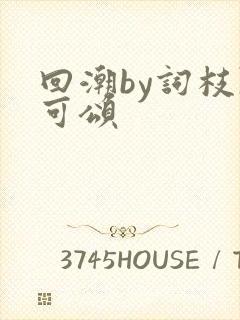 回潮by词枝陈可颂封面