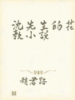 沈先生的花式管教小说封面