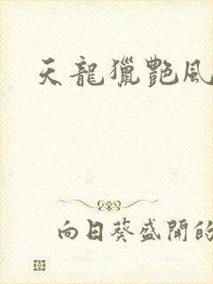 天龙猎艳风流封面