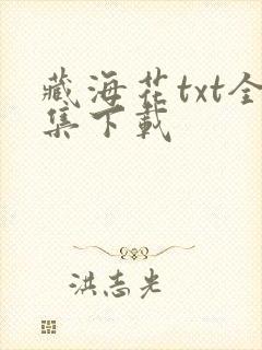 藏海花txt全集下载
